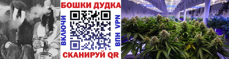 Канабис гибрид  Псков 